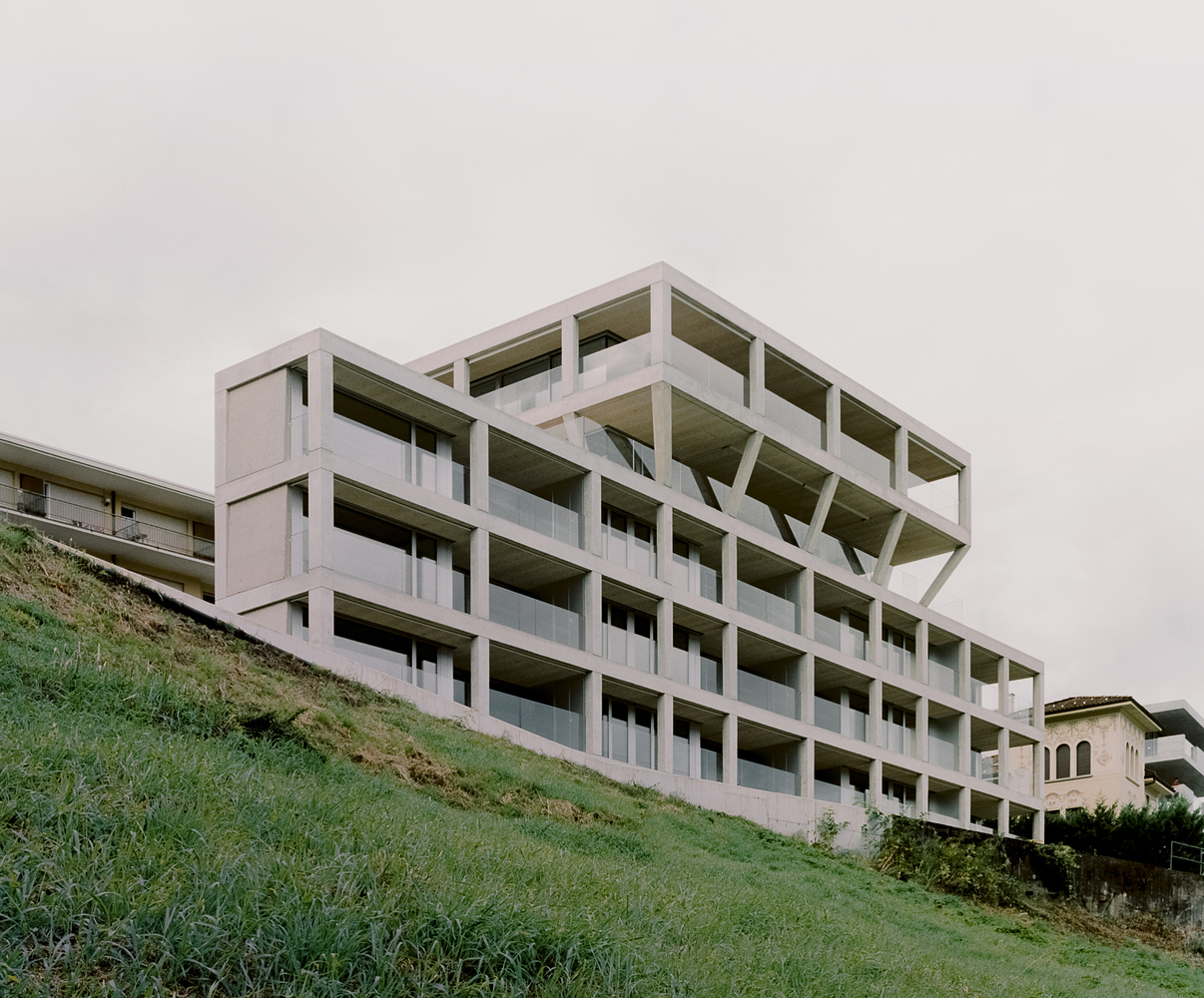 瑞士湖边网格建筑丨DF_DC-7