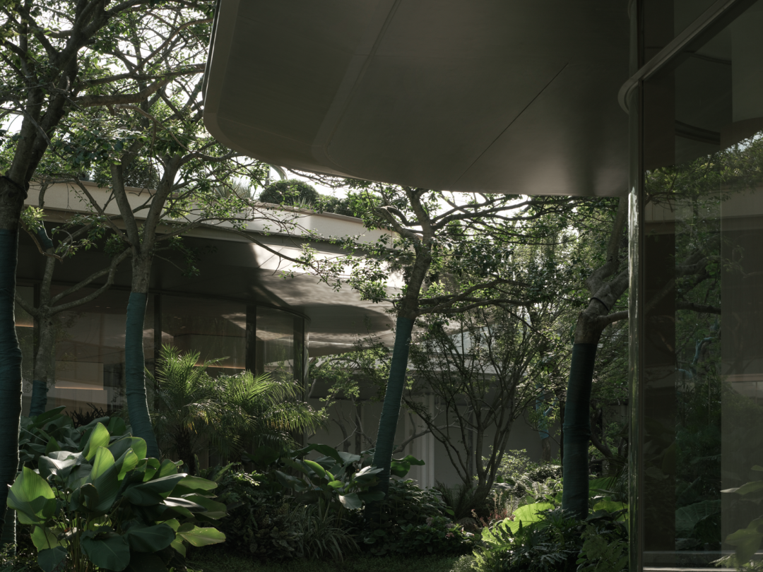 松弛岛屿|长沙招商·揽阅-226