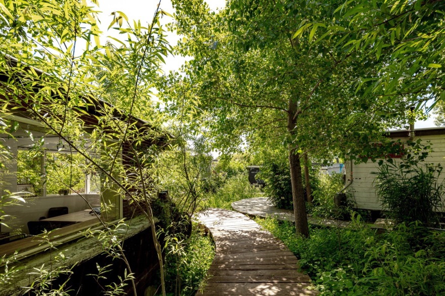 Amsterdam 船厂公园 | 废弃地变身绿色孵化器-5