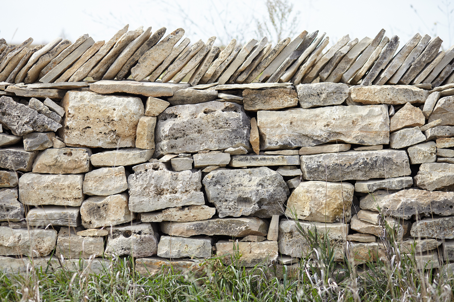 伊利诺伊河牧场 | 地形与景观的和谐融合-36