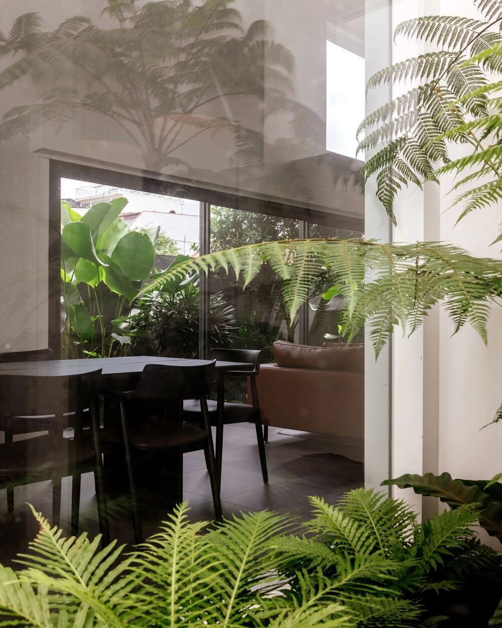 新作 WEDGE HOUSE  Super Assembly  2026  新加坡-2