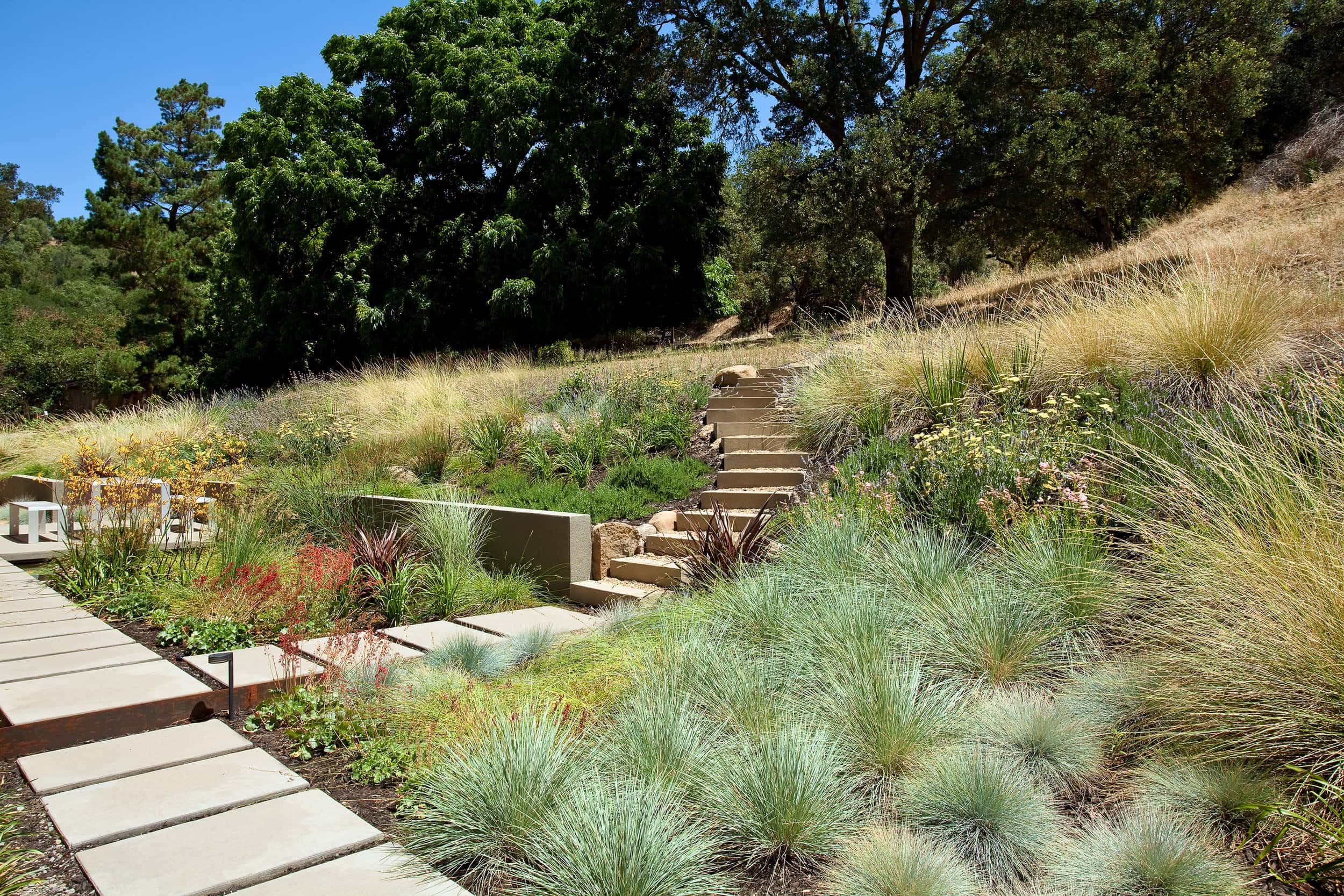 Sunol住宅景观设计丨美国-16