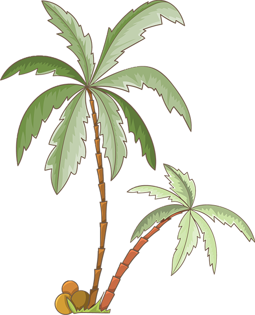 官宣!中旅酒店落子斐济-18