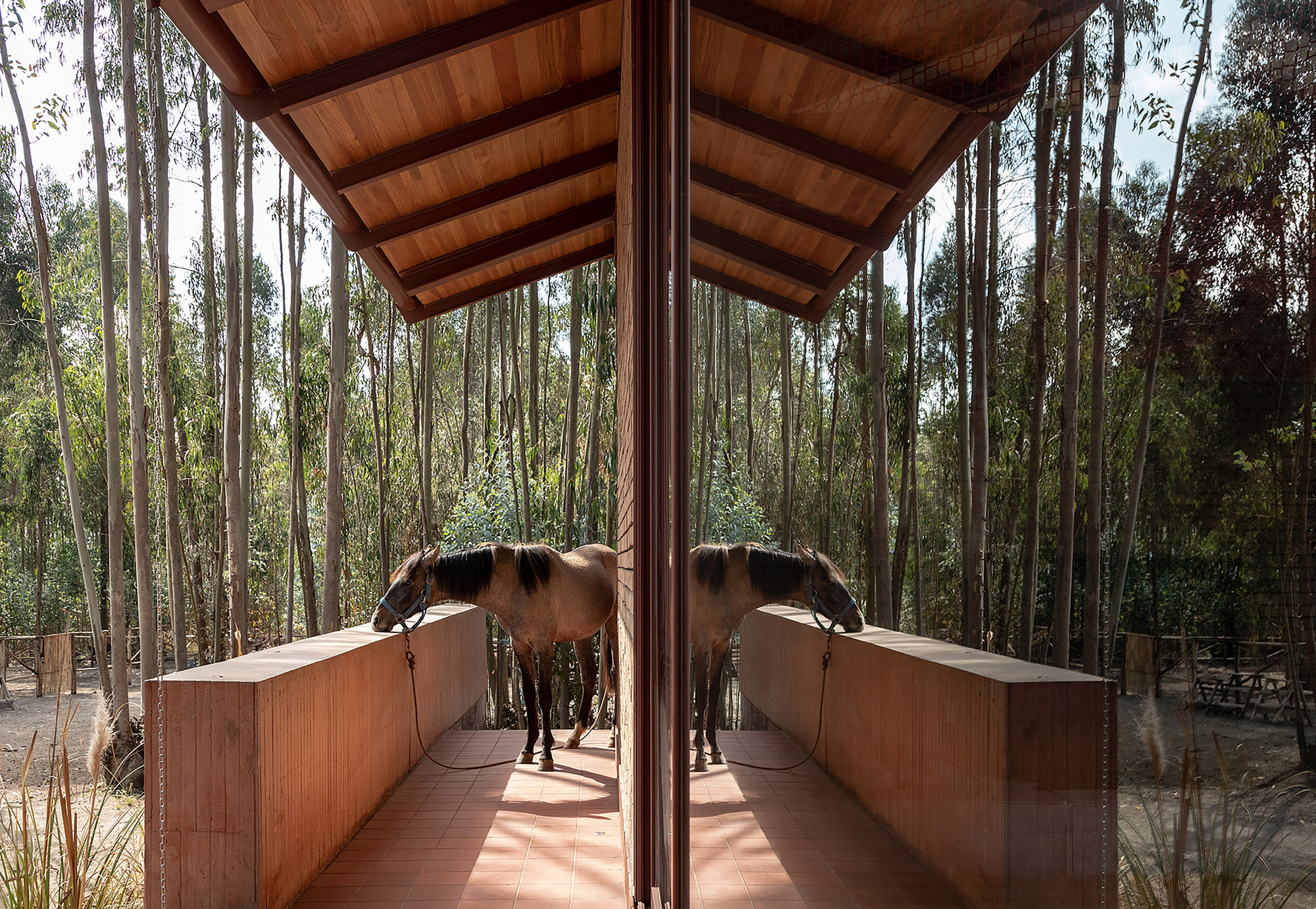 马术学校丨厄瓜多尔科托帕希丨Gabriel Rivera Arquitectos-3