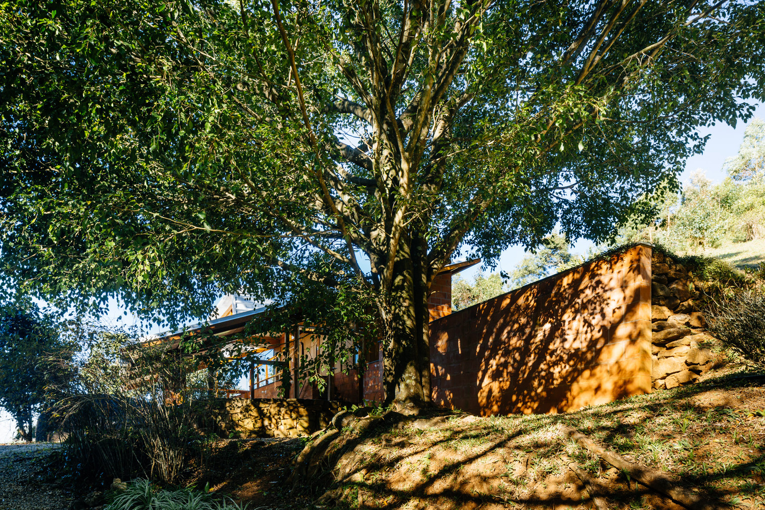 巴西半山坡住宅——自然与设计的完美融合-9