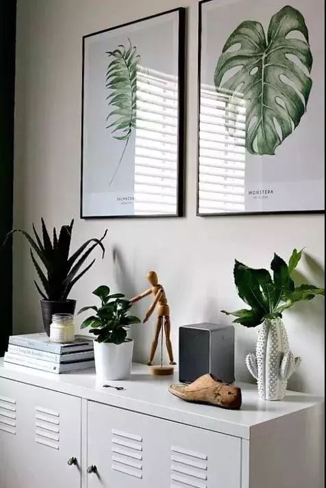 绿色植物装饰画,为家增添自然清新之美-15
