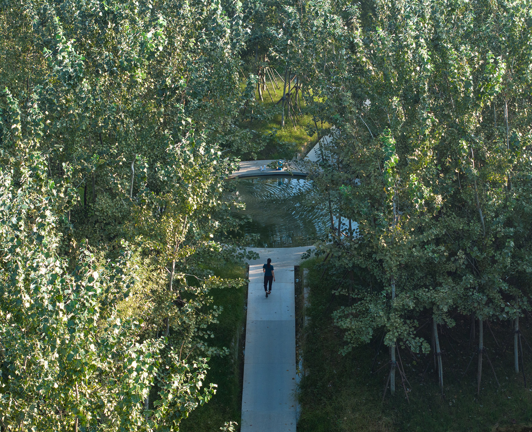 周口淮阳伏羲文化公园丨中国周口丨土人设计-58