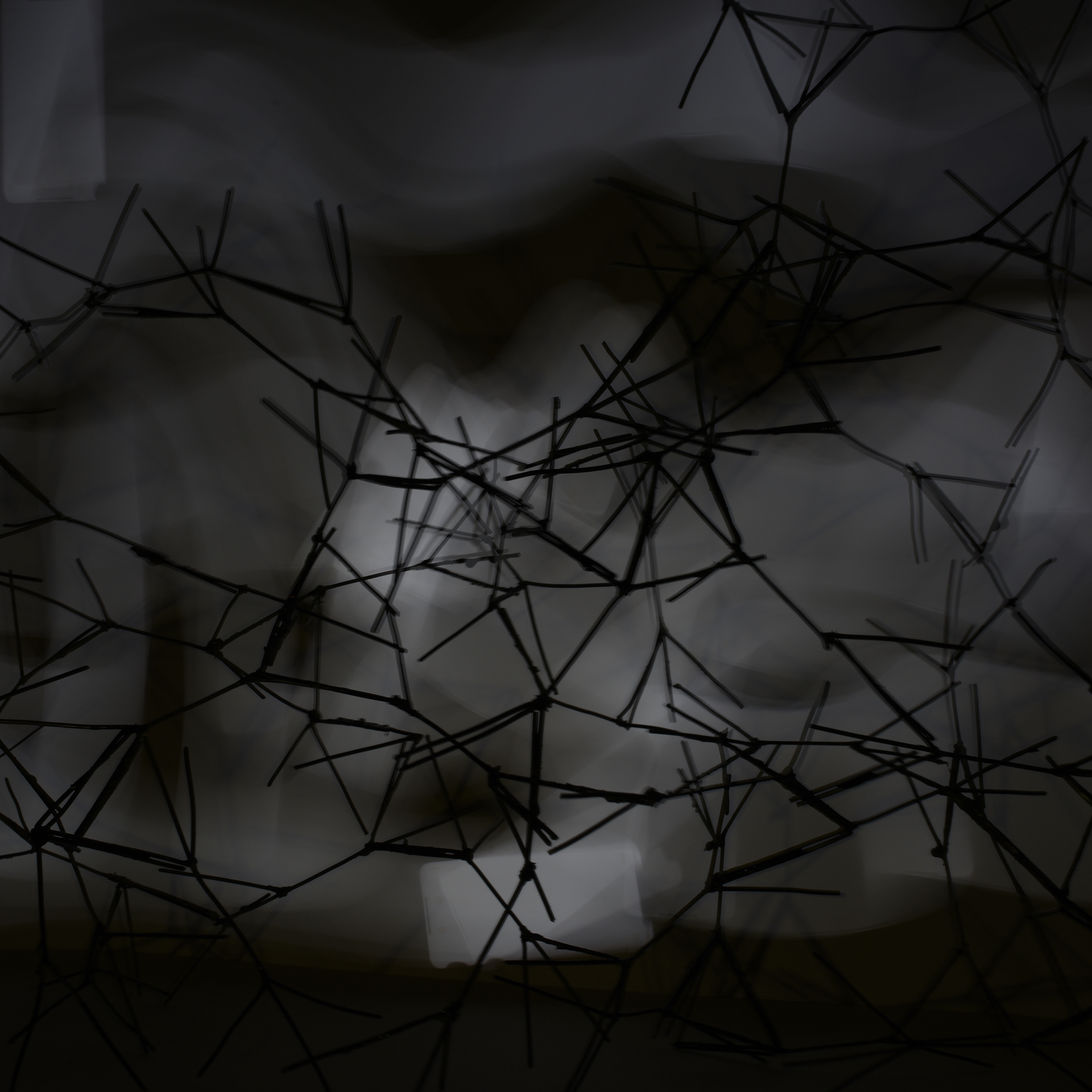 马特恩和帕滕,丝瓜络-9