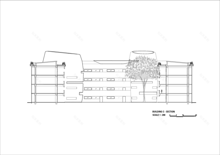 Binus Edupark Semarang 绿色校园丨印度-37