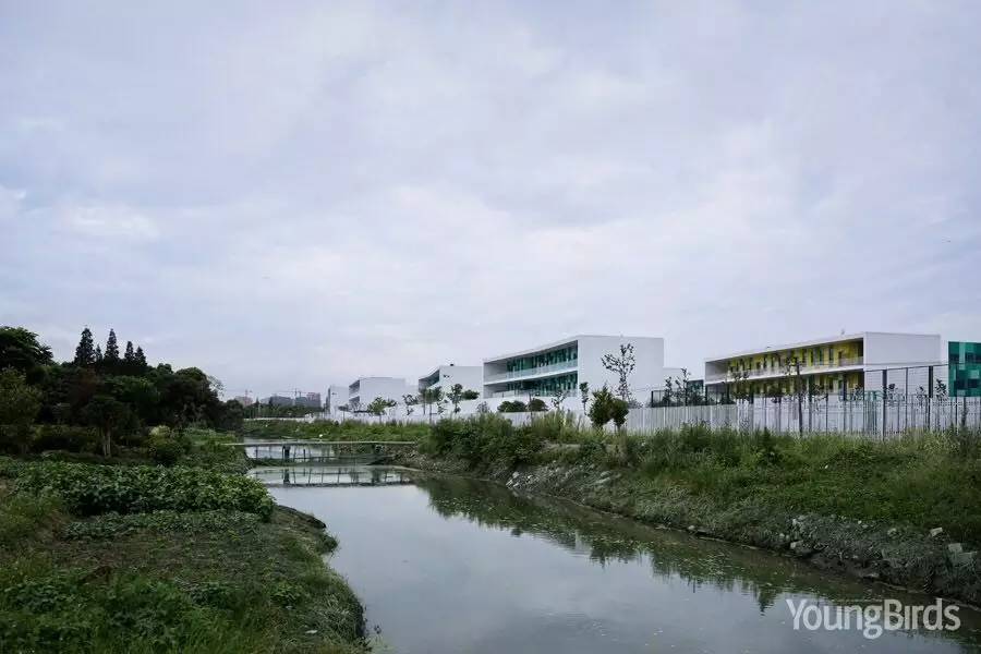 大舍 | 嘉定桃李园实验学校-11