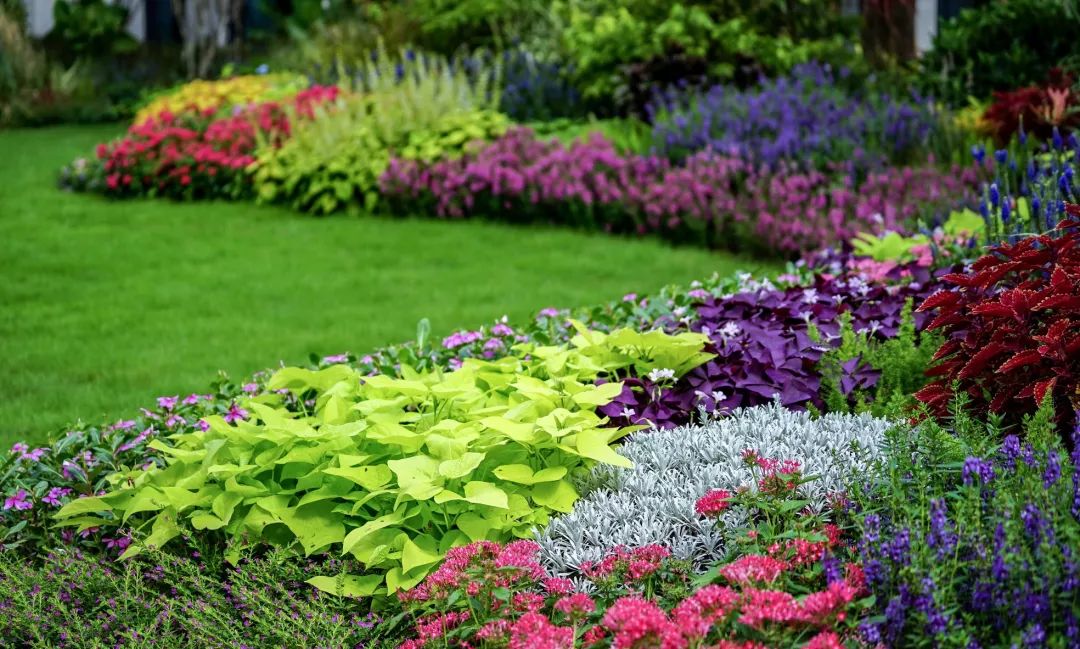 中建·邕和府——现代书院景观的邕江泛舟之旅-84