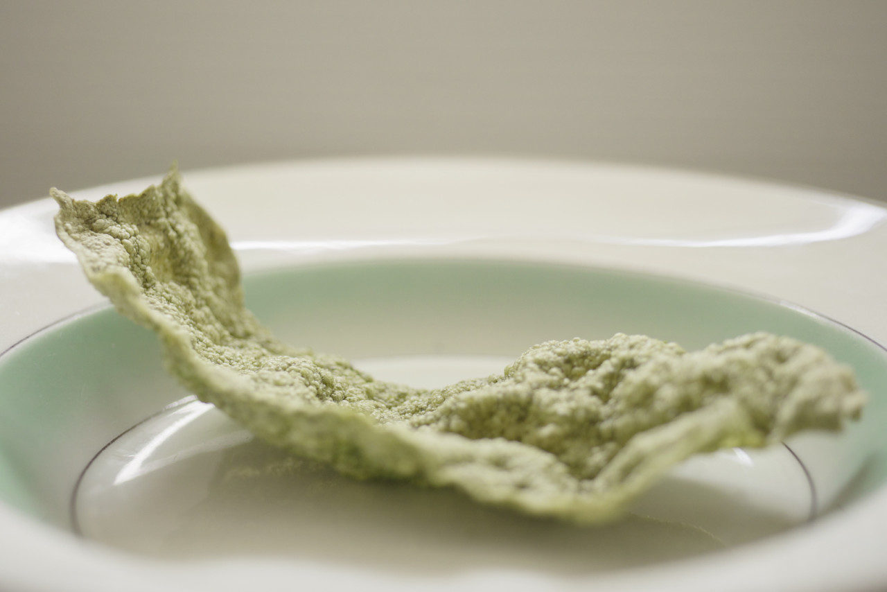 SPACE10’s Algae Dome Can Potentially Solve the World’s Biggest Problems-17