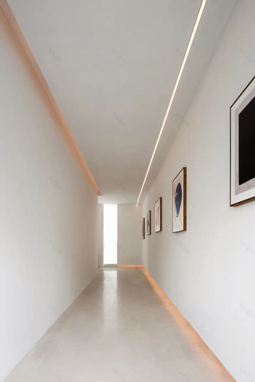 莫干山秘境杉林,尽享自然之美-71