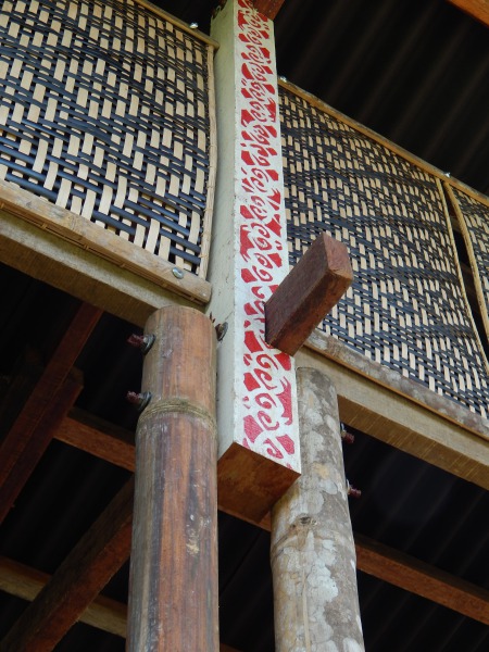 丨马来西亚沙巴-39