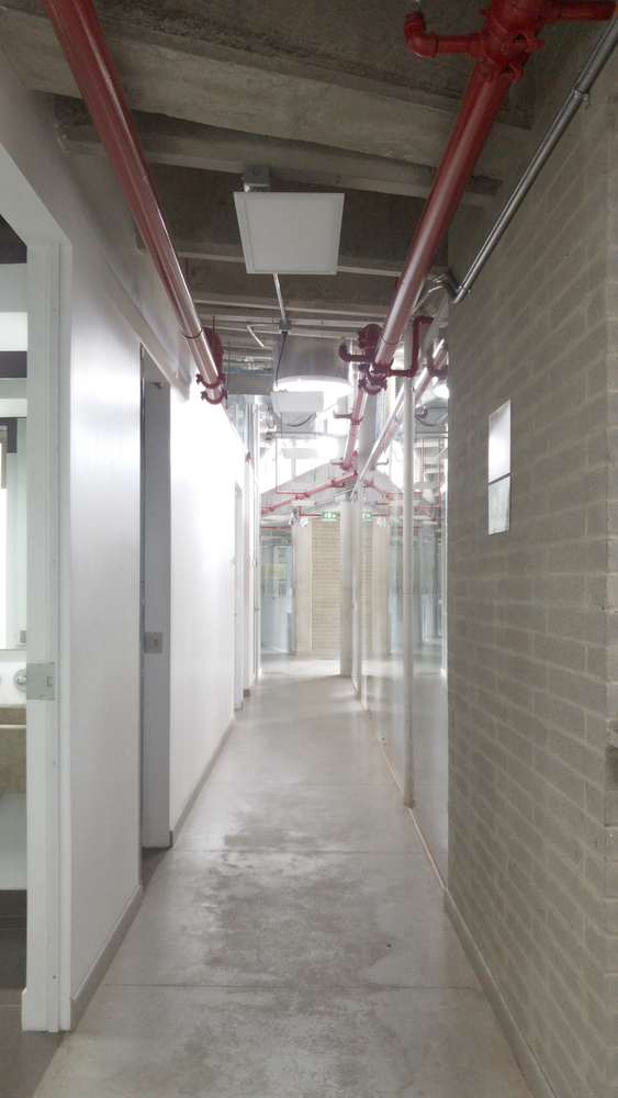 波哥大植物园植物标本馆-48