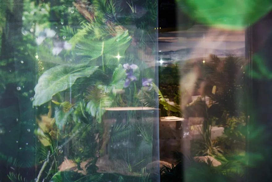 小仙炖鲜炖燕窝北京旗舰店丨中国北京丨立品设计-43