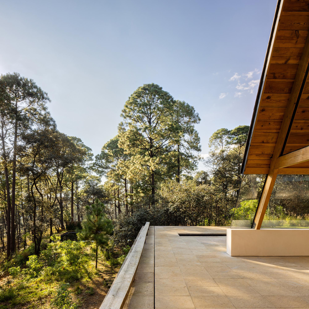 自然与永恒的融合 | 墨西哥建筑师Pablo Pérez Palacios的自然美学设计-17