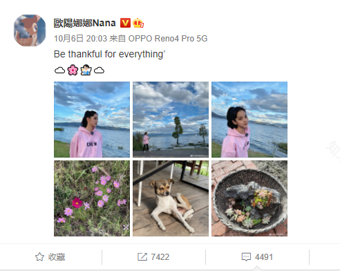 大理小院子 | 欧阳娜娜的文旅生活新体验-12