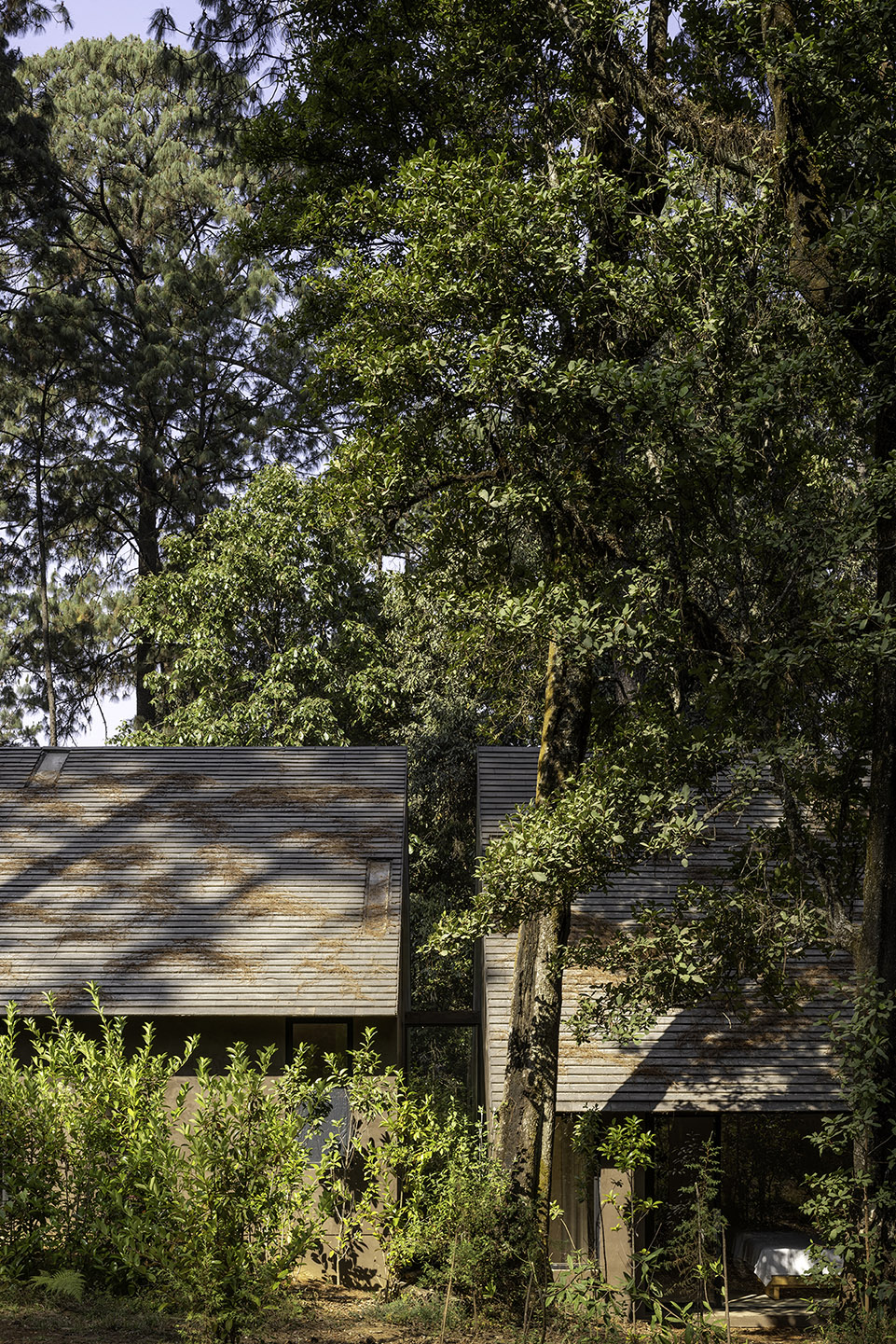 墨西哥 Zarzales 度假住宅丨PPAA-10