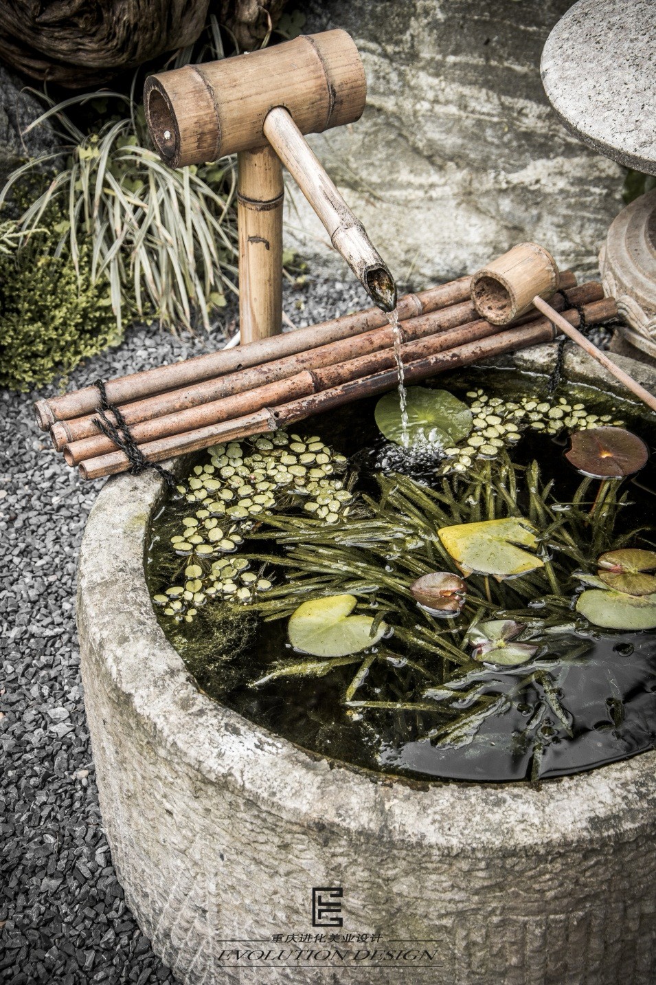 进 化 | 明 月-10