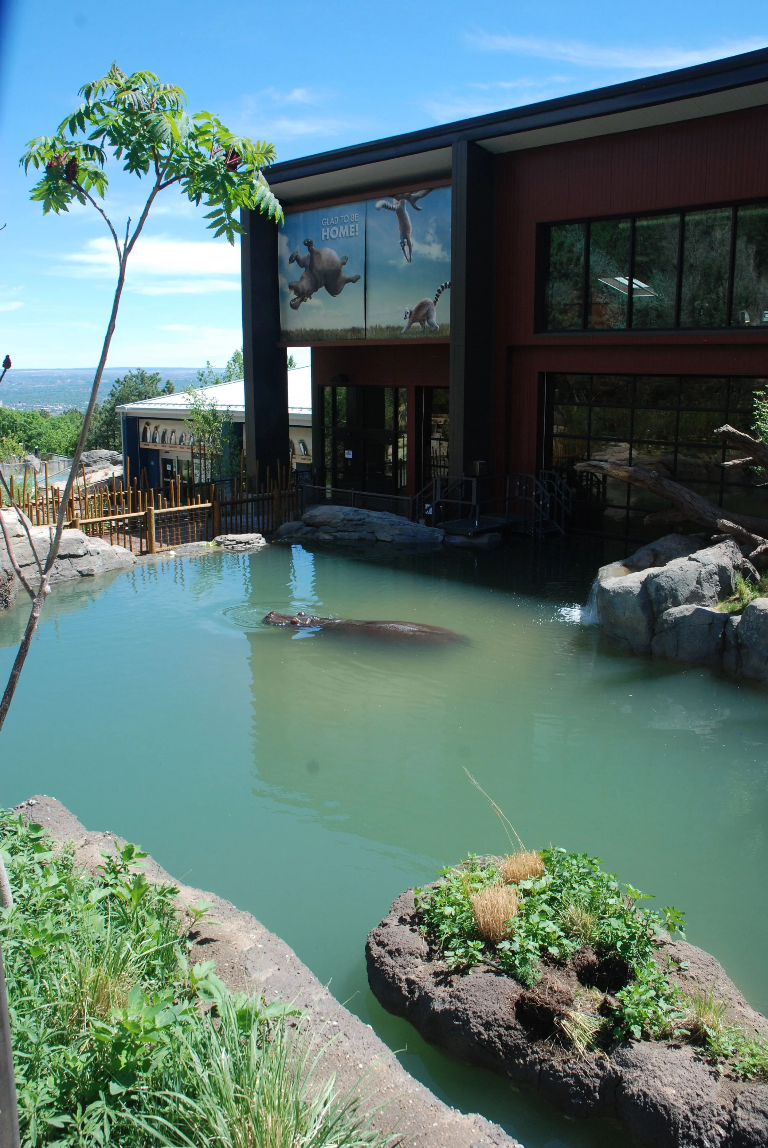 水际之地：非洲丨美国科罗拉多斯普林斯丨SH|R Studios-34