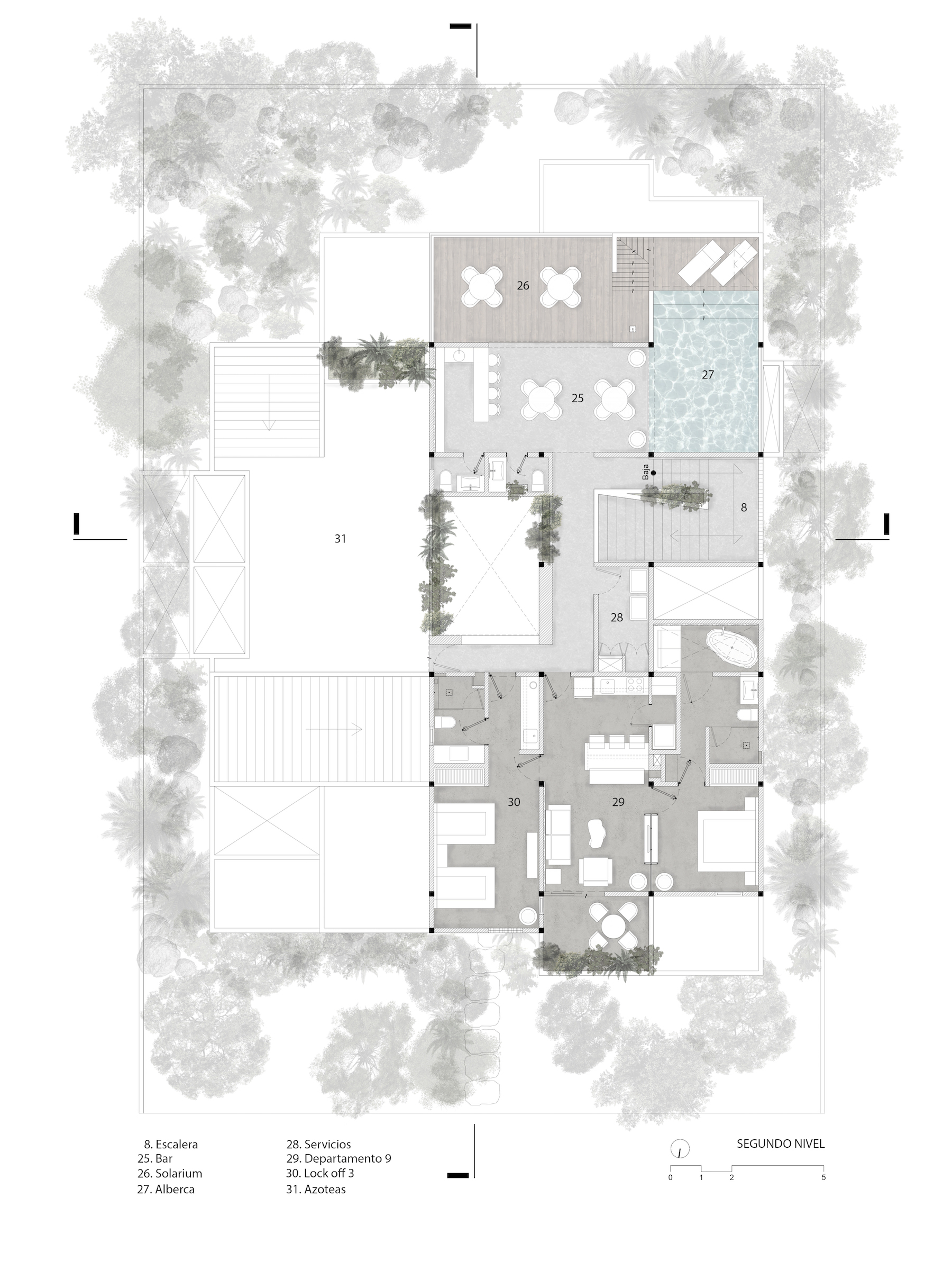 基基图卢姆丨墨西哥-33