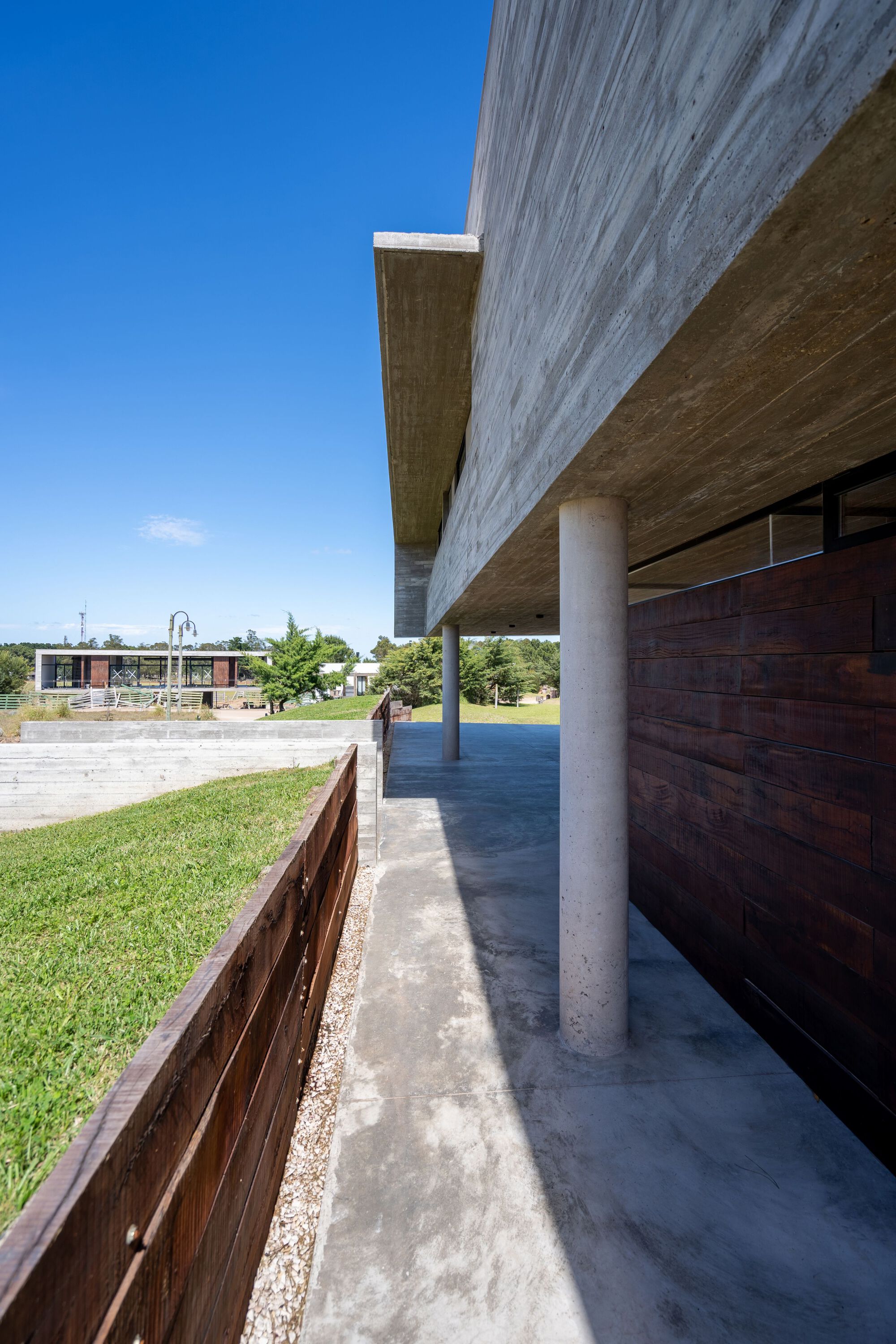 玛丽娜之家丨阿根廷布宜诺斯艾利斯丨Besonias Almeida Arquitectos-23