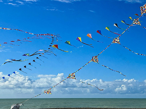Festival International de Cerfs-Volants à Dieppe-0