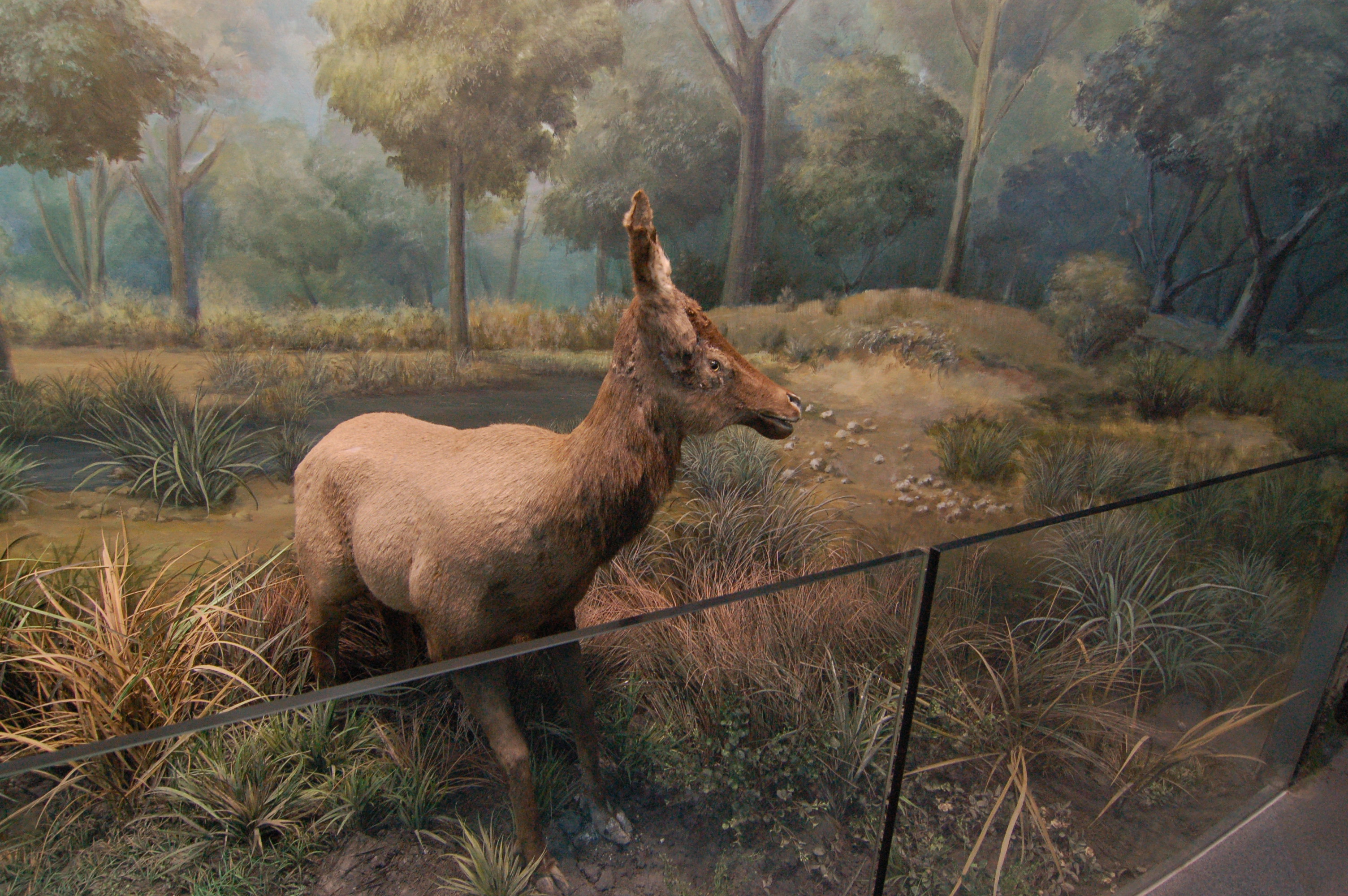 博物馆城市规划馆-2