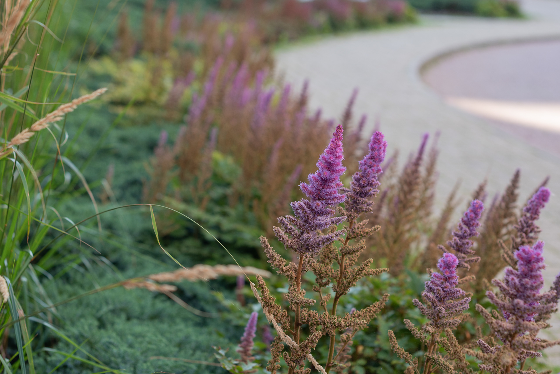 住宅小区绿化项目-34