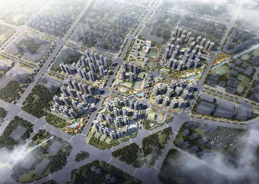 【建证·筑梦】建证“木棉花开”-2