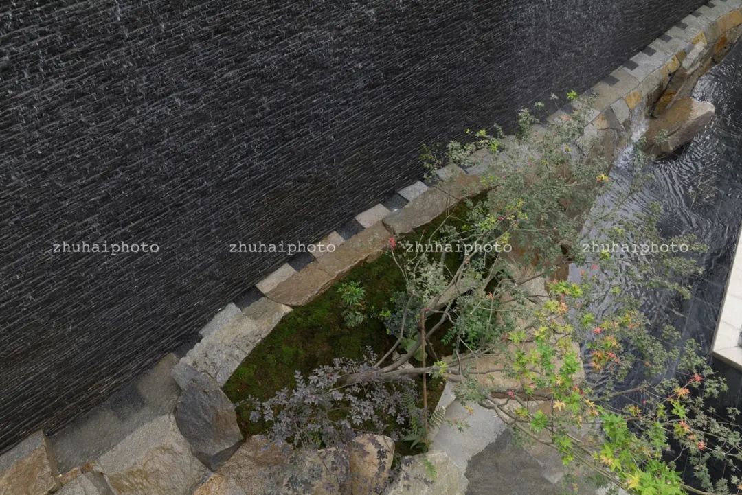 杭州天目里庭园设计丨中国杭州丨日本造园设计事务-46