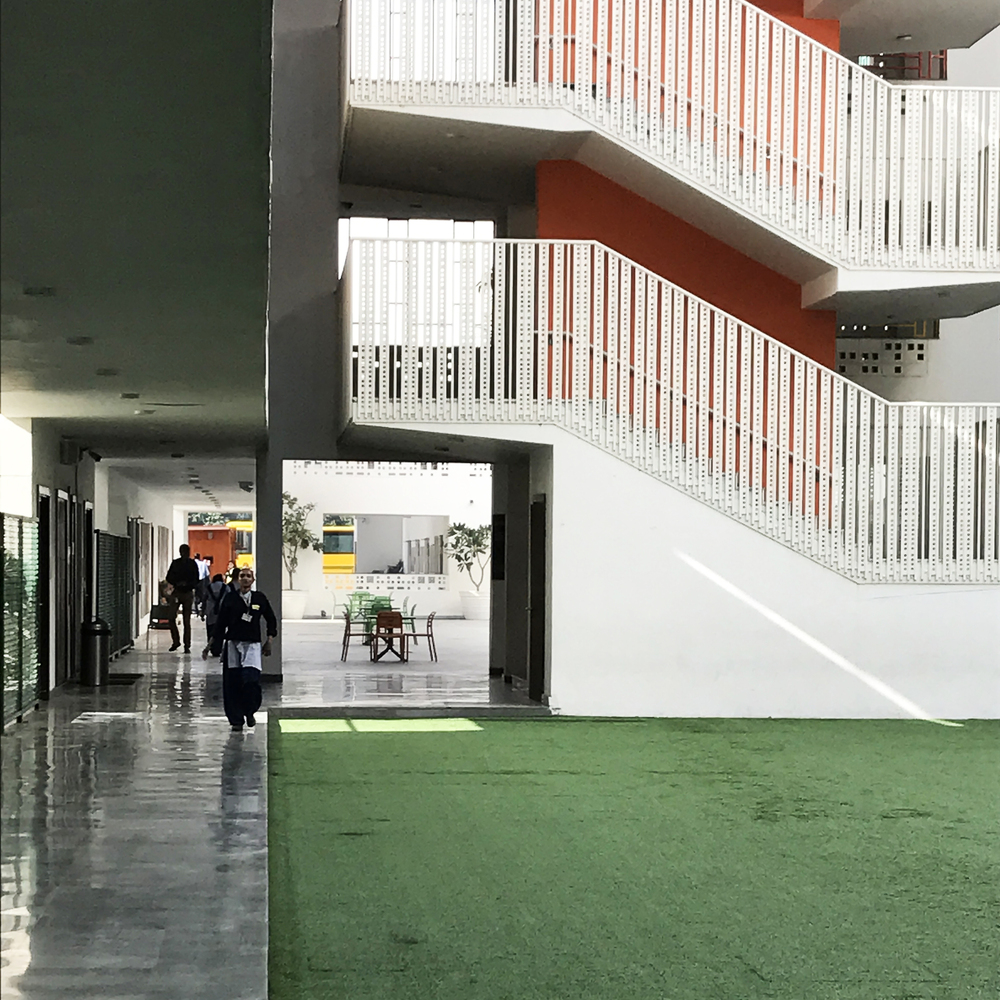 The British School  Morphogenesis-41