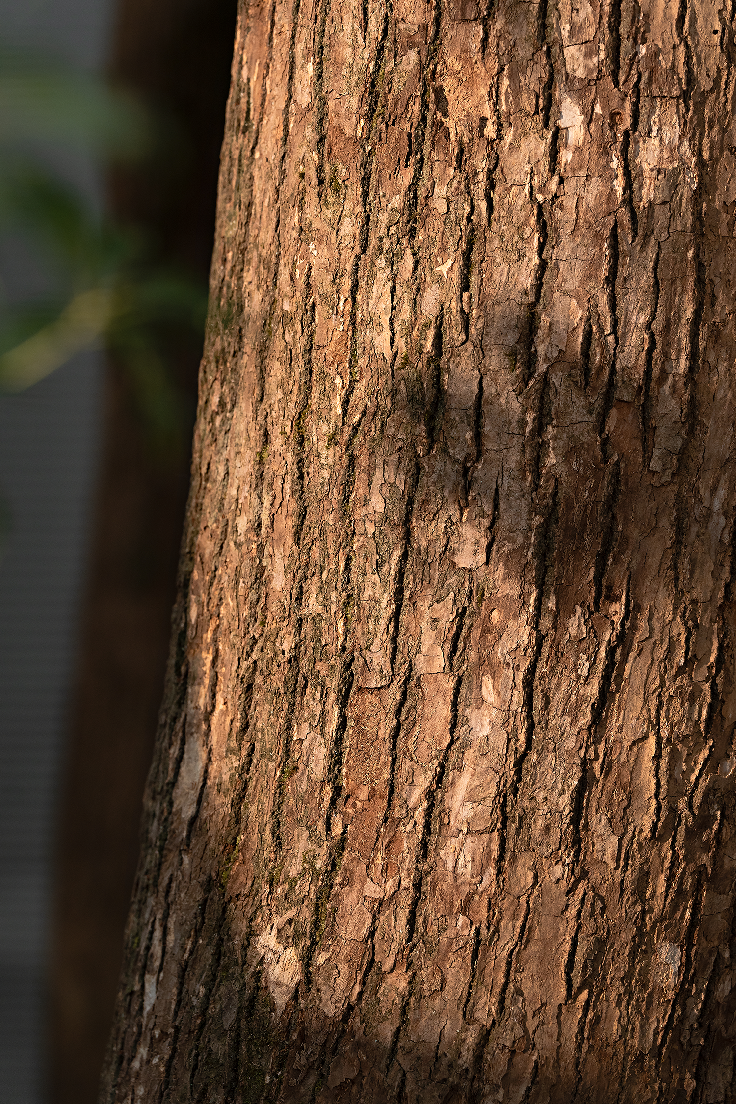 东莞素庭 SOOTHIN 品牌展厅丨中国东莞丨微塔设计在在设计-23