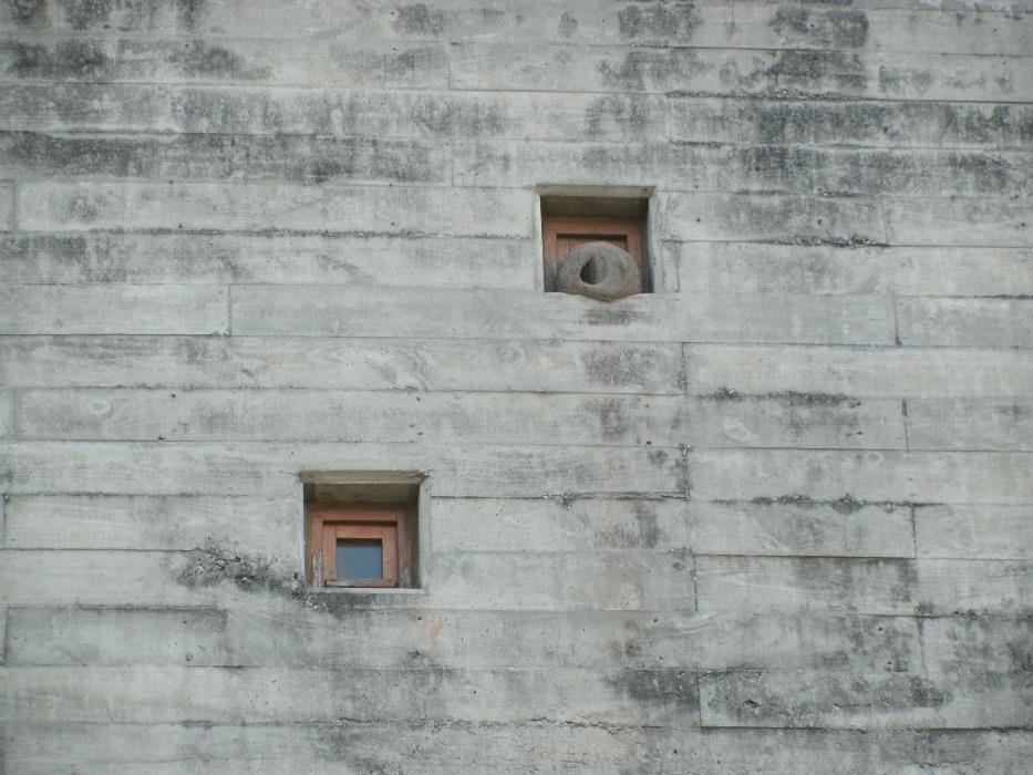 Jardín Botánico CBA, AR-11