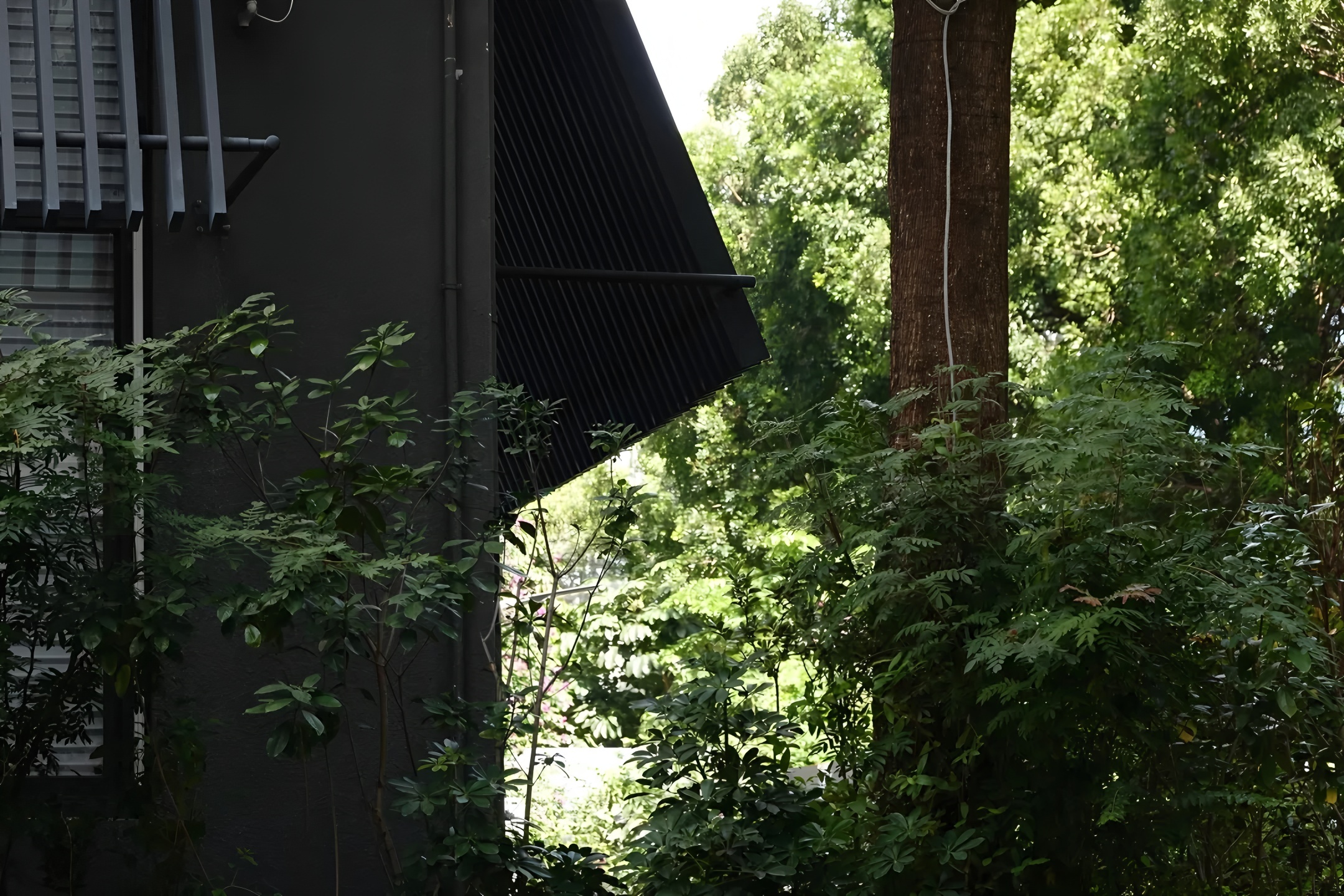 深圳茅台鉴藏馆丨中国深圳丨BLOOMDESIGN绽放设计-0