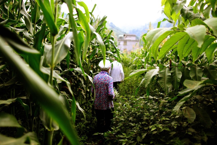 平凡之碑 | 红军战士 Hou Zhongmao 的纪念空间设计-14