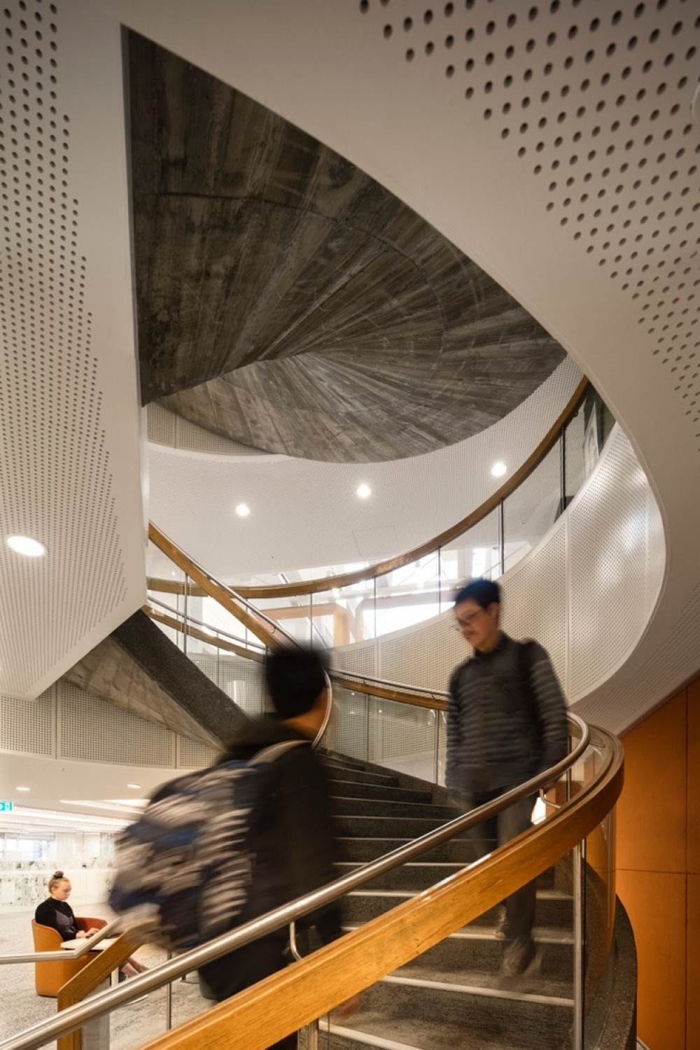 Caulfield Library John Wardle Architects-0