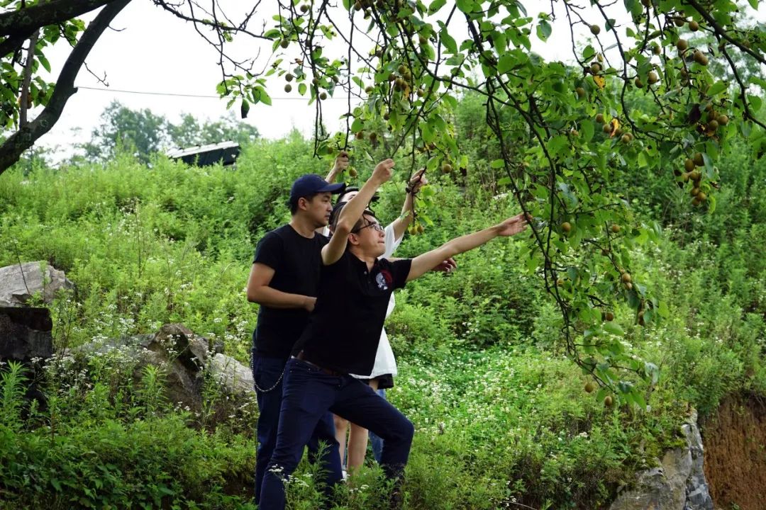 纬图年中会 | 归原小镇的慢屋狂欢-66