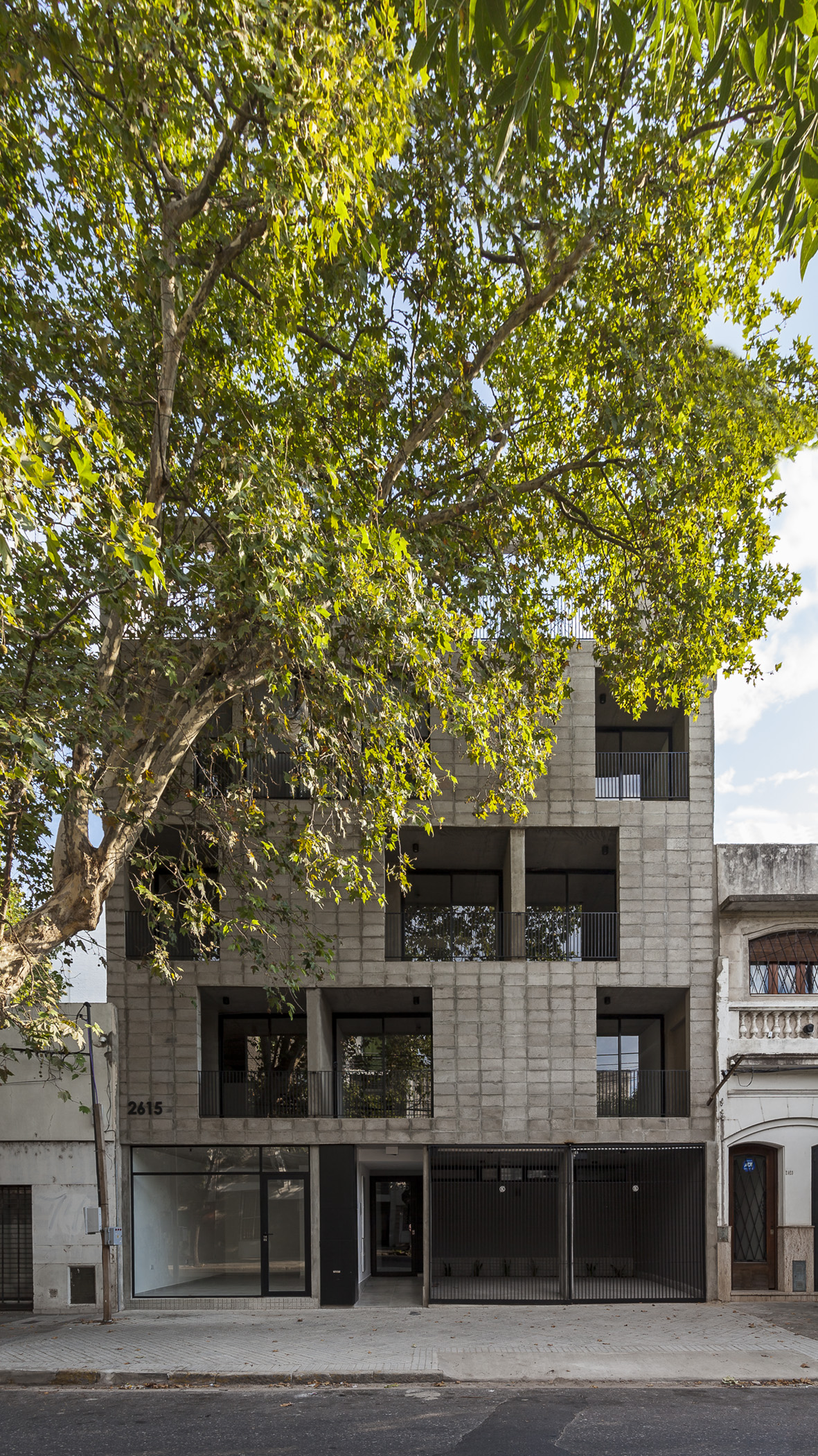 Tucumán 2615 建筑 - 自然与都市的和谐交融-16