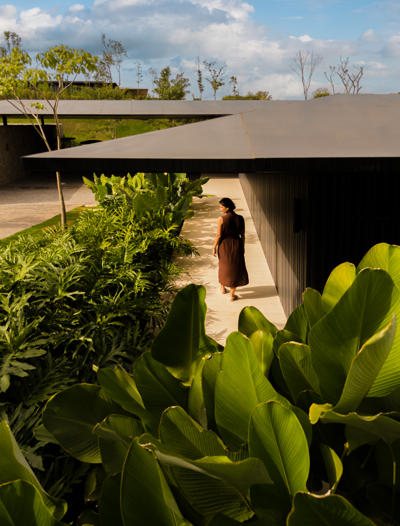 DRP 住宅；DRP 房屋（注：因DRP含义不明确，若有具体所指，需结合背景准确翻译） 丨巴西圣保罗丨Jacobsen Arquitetura等多团队-34