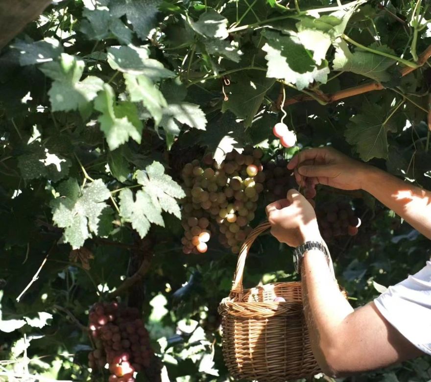 敦煌碧玥酒店丨中国甘肃丨SLH-97