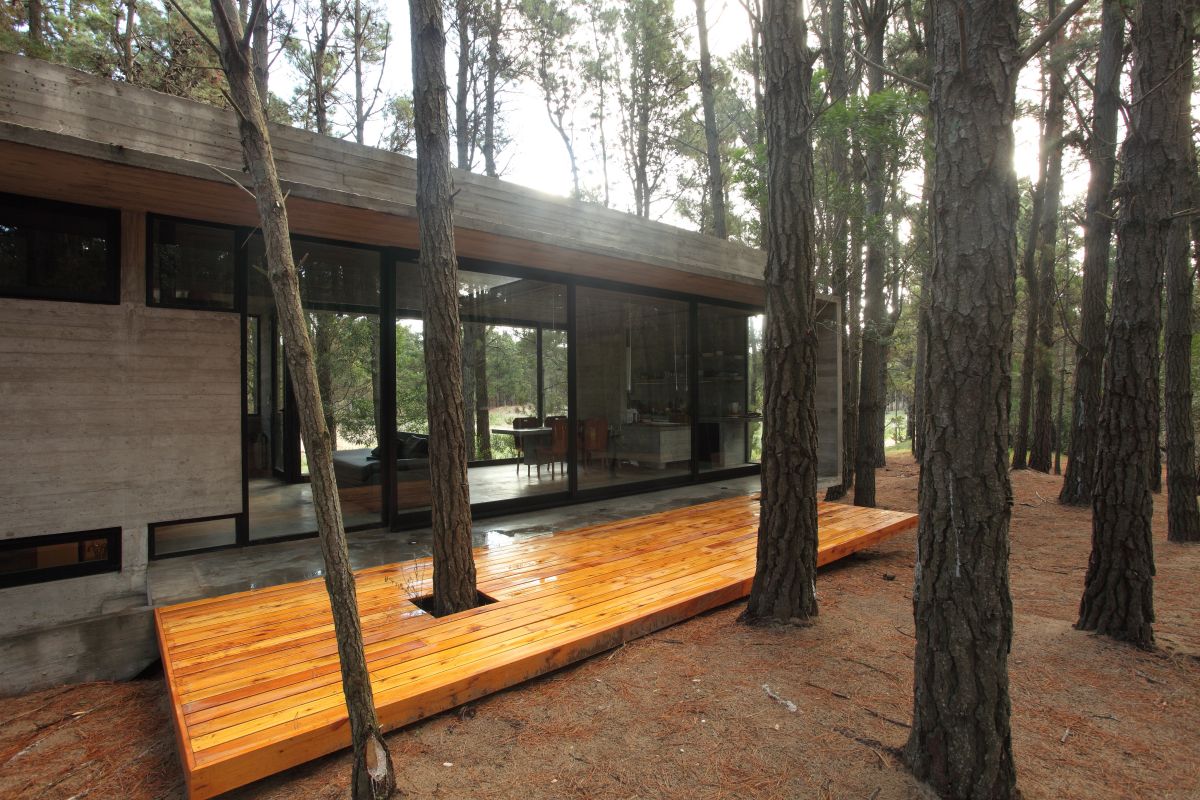 阿根廷森林中的雪儿别墅-9