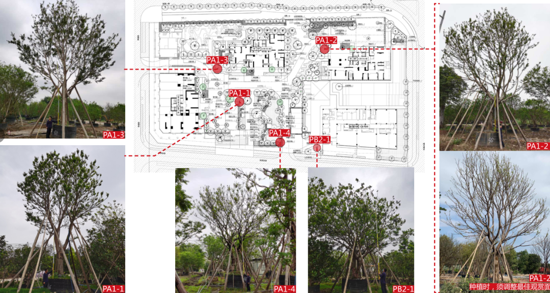 绿色艺术都市中的心灵绿洲——招商·领玺家园-105