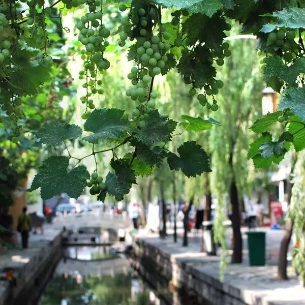 这家老厂房改建、42万块砖砌成的民宿惊艳了所有人-155