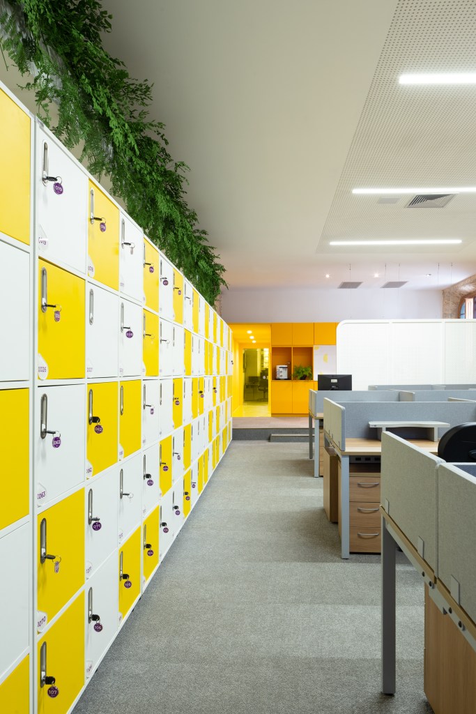 丨巴西伯南布哥-205