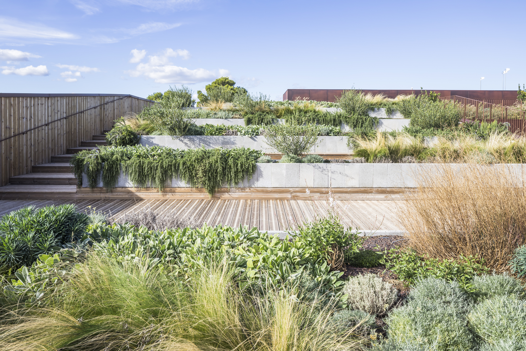 共享公司餐厅丨法国蒙彼利埃丨Brenac & Gonzalez & Associés-35