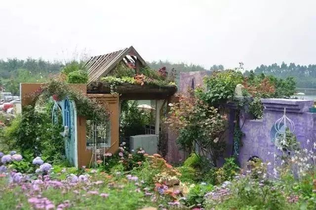 他建了座2亩的鲜花小院，满足你对花园的所有幻想-64