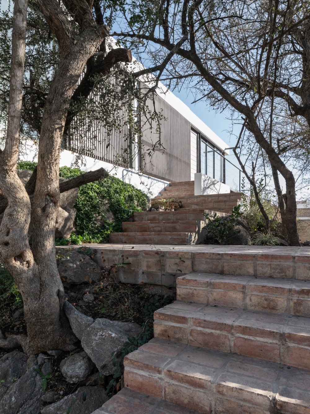 阿根廷山林中的简约住宅设计-21