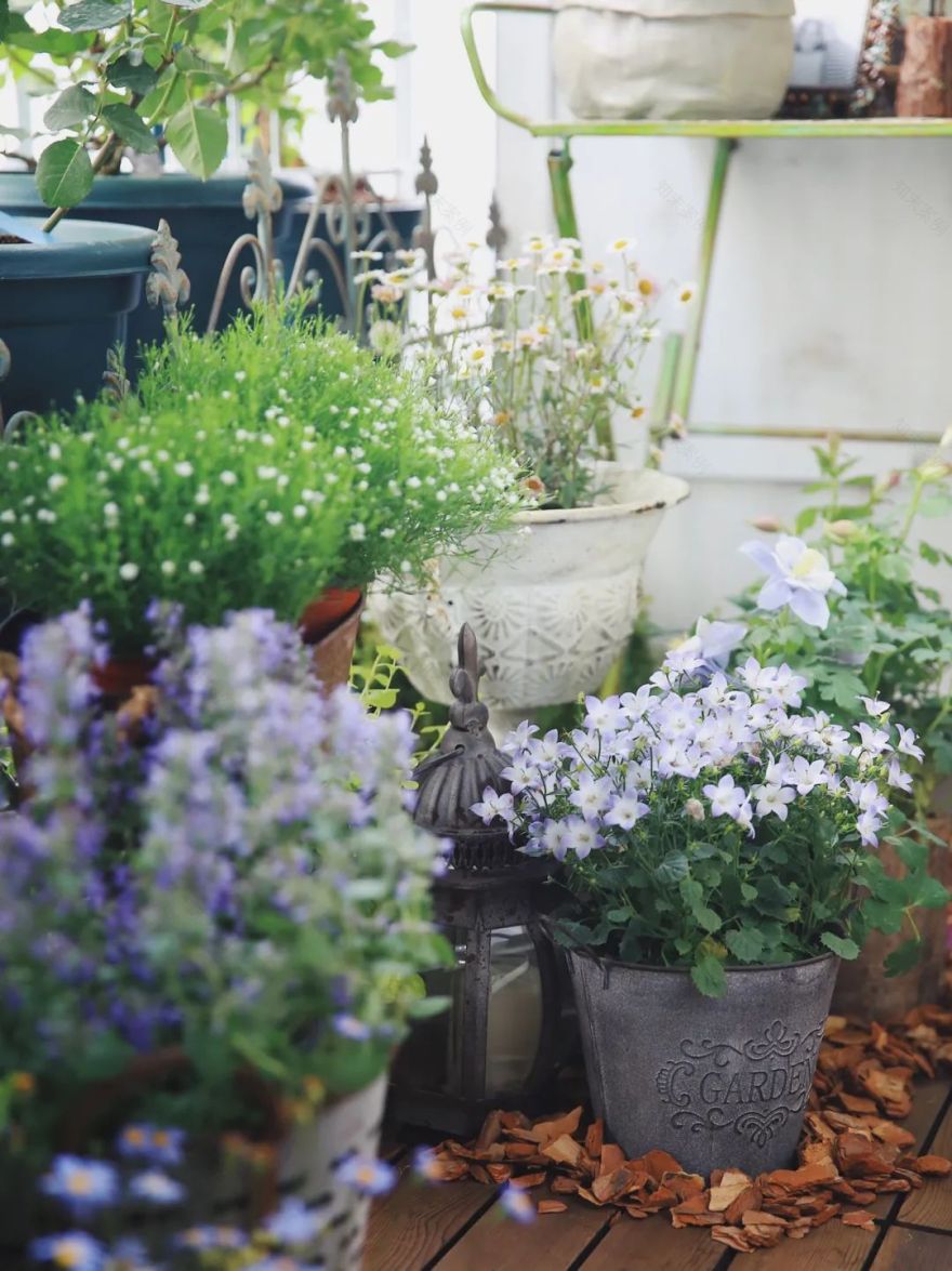 5㎡小阳台,打造治愈系小花园-26